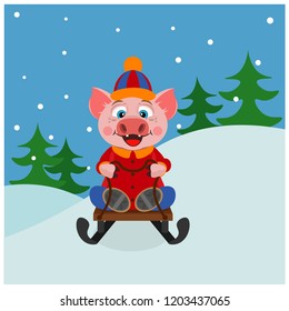 Pig riding on a sled. Year of the pig vector illustration. Symbol of 2019.