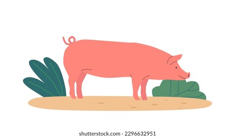 Pig Roaming Freely On A Grassy Field, Sniffing Around And Rooting In The Soil With Its Snout Cartoon Vector Illustration