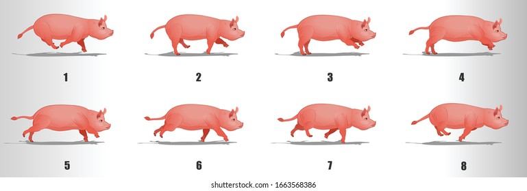 Pig run cycle animation frames, loop animation sequence sprite sheet 