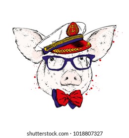 A pig in a sailor's cap, glasses and a tie. Captain of the ship. Vector illustration.
