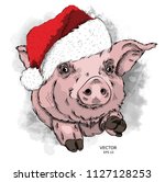Pig in Santa Claus hat. New Year's card. Vector illustration