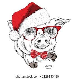 Pig in Santa Claus hat. New Year's card. Vector illustration