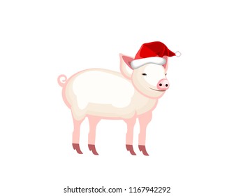 Pig in Santa hat