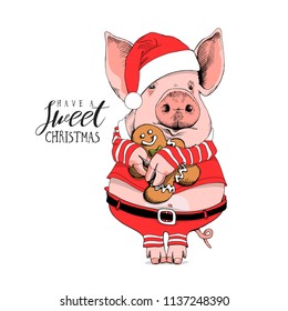 Pig in a Santa's red costume and with a gingerbread man. Have a sweet Christmas - lettering quote. New year card, poster, t-shirt composition, hand drawn style print. Vector illustration.