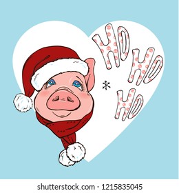 Pig in scarf and hat and lettering, vector illustration