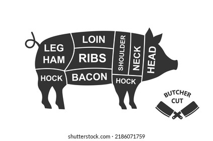 Pig scheme cuts. Butcher diagram poster. Meat diagram scheme illustration. Cuts of pork meat. Farm animal silhouette.