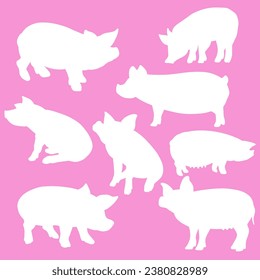 A pig, scientifically known as Sus scrofa, is a domesticated or wild mammal belonging to the family Suidae.
