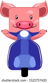 Pig with scooter, illustration, vector on white background.
