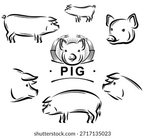 Schweinesatz. Kollektionssymbole Schwein. Vektorgrafik