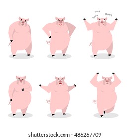 Pig set of different poses. Expression of wild boar emotions. Farm animal evil and good. Sad and happy beast. Aggressive and surprised. Farm yoga
