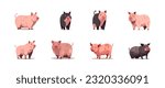 Pig set flat cartoon isolated on white background. Vector illustration