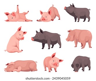 Pig set flat cartoon isolated on white background. Black and pink pigs vector illustration