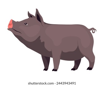 Pig set flat cartoon isolated on white background. Black pig vector illustration