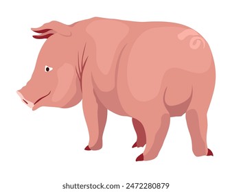 Pig set flat cartoon isolated on white background. Pink pig vector illustration