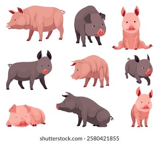 Pig set flat cartoon isolated on white background. Black and pink pigs vector illustration