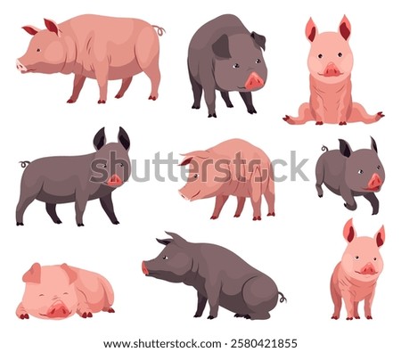 Pig set flat cartoon isolated on white background. Black and pink pigs vector illustration