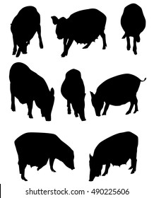 Pig Set Vector Stock Vector (Royalty Free) 490225606 | Shutterstock