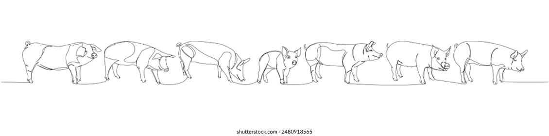 pig set, wild boar, livestock, piglet one line art. Continuous line drawing of farm, nature, agriculture, farm animals, rural life, ranch.