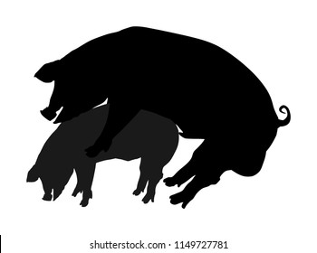 Pig sex vector silhouette illustration. Pigs mating on farm. Sex pairing copulation of two pigs. Farm animal in love.