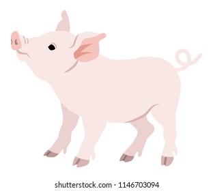 Pig Side View - 2019 Chinese Zodiac Sign