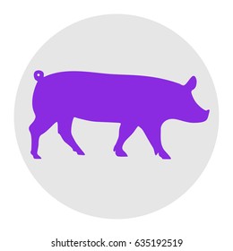 Pig sign illustration. Vector. Violet flat icon on light gray circle at white background. Isolated.