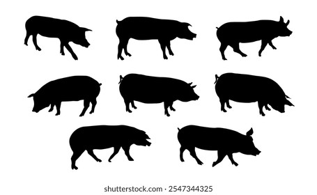 Pig silhouette design element various pose, suitable for graphic design element, logo, or illustration.