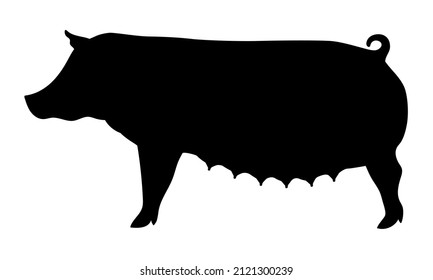 Pig Silhouette - Farm Animal. Vector Icon  illustration. 