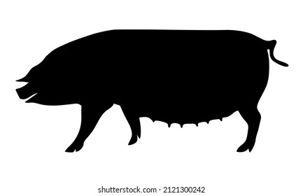 Pig Silhouette - Farm Animal. Vector Icon  illustration. 