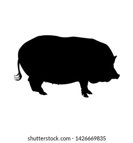 Pig Silhouette. Highly Detailed Smooth Design. Vector Illustration.
