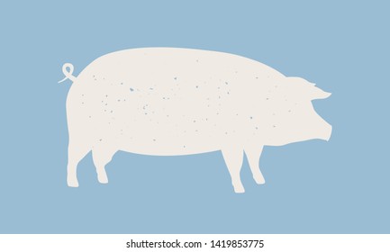 Pig silhouette. pig icon isolated on blue background. Graphic design for meat shop, grocery, farmers market. Vintage typography. Vector Illustration