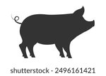 Pig silhouette on white background. Vector illustration.