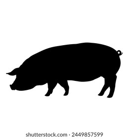 pig silhouette - vector illustration	