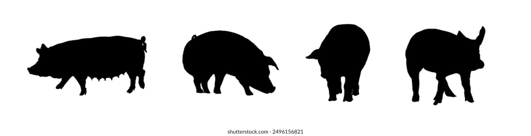 Pig silhouette - vector illustration
