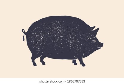 Pig silhouette. Vintage retro print