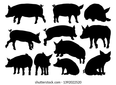 A pig silhouettes farm animal graphics set