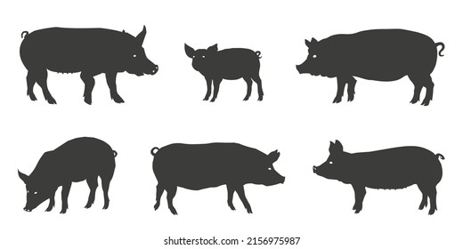 pig silhouettes on the white background 2022