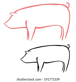 Pig sketch