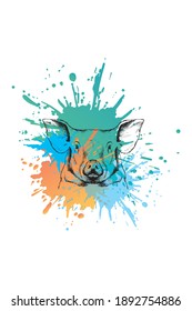 Pig sketch. Colorful sublimation on white background