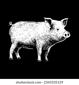 Schweinekoteletts, handgezeichnet, Gravierungsillustration