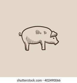 Pig sketch icon.