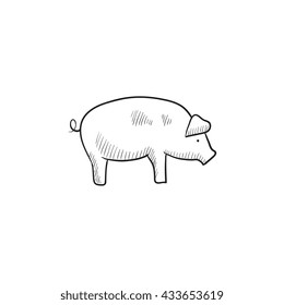 Icono de esbozo de cerdo para web, móvil e infografía. Icono de cerdo dibujado a mano. Icono de vector de cerdo. Icono de cerdo aislado en fondo blanco.