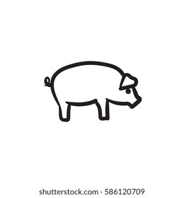 Pig sketch icon for web, mobile and infographics. Hand drawn pig icon. Pig vector icon. Pig icon isolated on white background.