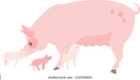 Pig Sow with Piglets Flat Vector