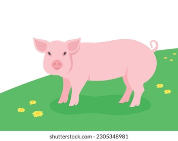 Pig standing on the green grass. Domestic farm animal grazing in a spring meadow. Flat cartoon illustration of swine. Summer grassland background