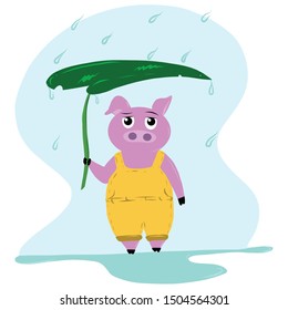A pig standing in the rain