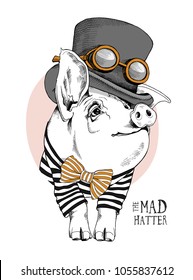 Pig in a in a striped cardigan, in a bow tie and with a steampunk Top hat. Vector illustration.