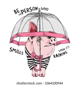 Pig in a striped cardigan, in a pink bow tie and with a transparent umbrella. Vector illustration.