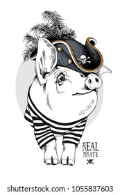 Pig in a in a striped cardigan and in a Pirate hat with a feathers. Vector illustration.