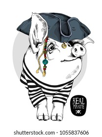 Pig in a in a striped cardigan and in a Pirate hat. Vector illustration.