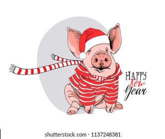 Pig in a striped cardigan, in a Santa's red cap and with a scarf. Happy new year - lettering quote. Christmas card, poster, t-shirt composition, hand drawn style print. Vector illustration.